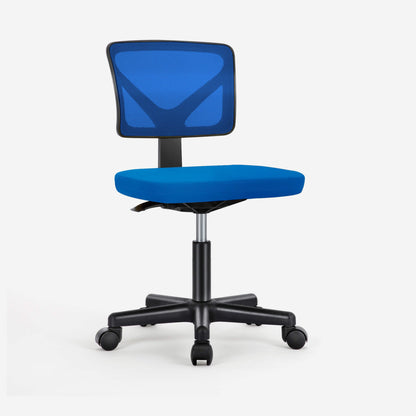 Sweetcrispy Desk Chair with Lumbar Support for Office